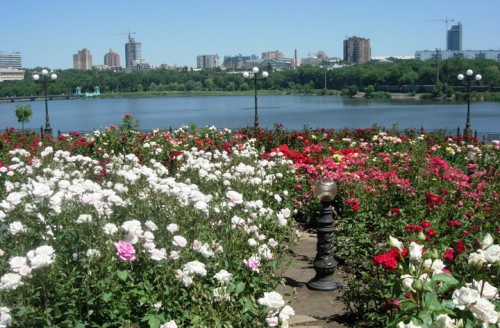 Park3