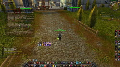 WoWScrnShot 111916 172954