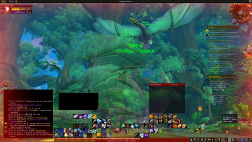 WoWScrnShot 121317 214117