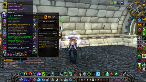 WoWScrnShot 071118 111527