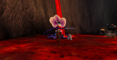 WoWScrnShot 071118 182736