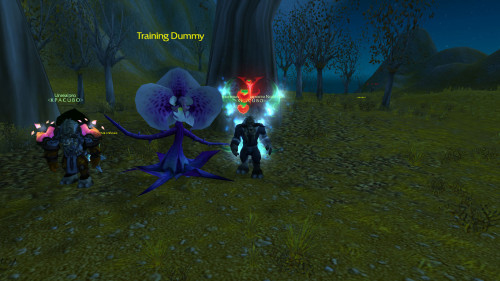 WoWScrnShot 071318 013046