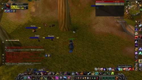 WoWScrnShot 041019 160848