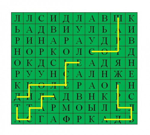 SnNo копия