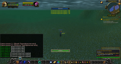 WoWScrnShot 060420 164613