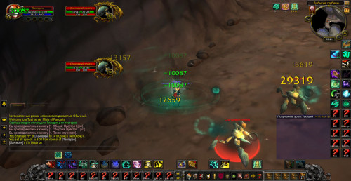 Паук маникен