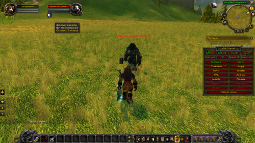 WoWScrnShot 100722 121938