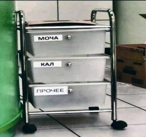 IMG 20221125 001942 162 edit 48975298706067