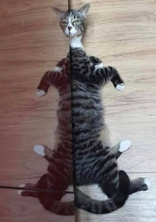 IMG 20221207 002351 455