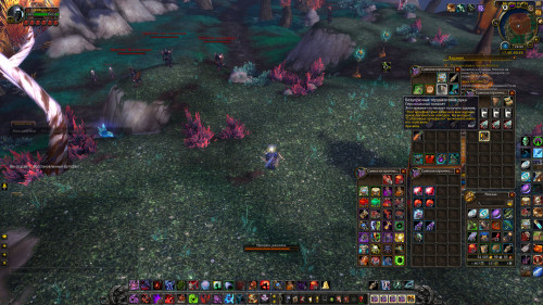 WoWScrnShot 122022 225508