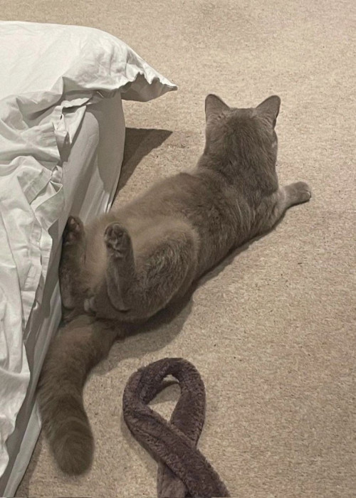 IMG 20230720 095734 791