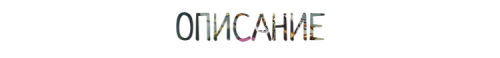 0E4E4D6F DE44 4AC1 8247 904D179B63F0