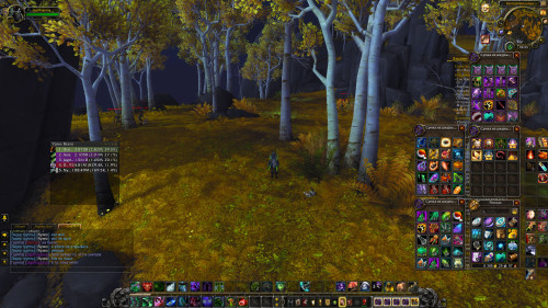 WoWScrnShot 100123 125516