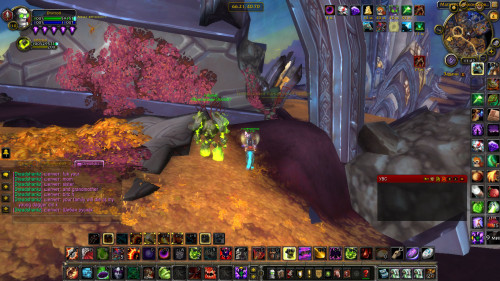 WoWScrnShot 100423 114224