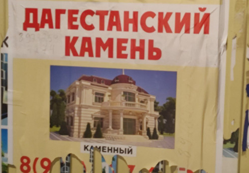 IMG 20240313 222848 488