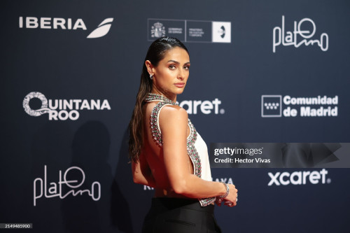 RIVIERA MAYA, MEXICO - APRIL 20: Renata Notni poses during the red carpet for the 11th edition of Pr
