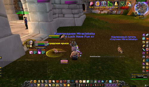 WoWScrnShot 111324 202002