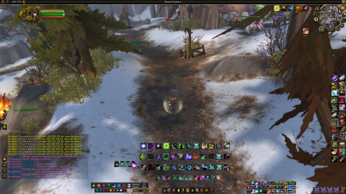 WoWScrnShot 061125 192648