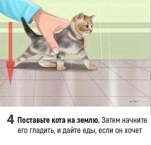 IMG 20250729 022737 398
