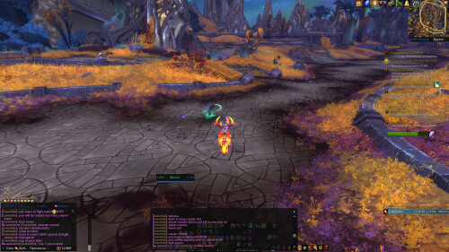 WoWScrnShot 100425 141106