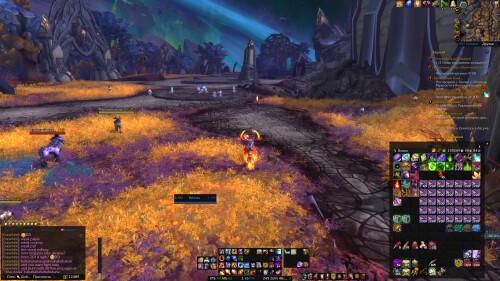 WoWScrnShot 100425 141640