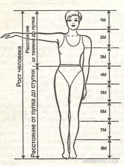 1676791443 niceart club p proportsii v mebeli 72