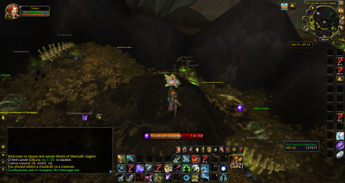 WoWScrnShot 110525 134520