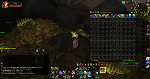 WoWScrnShot 110525 134516