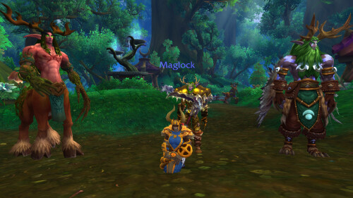 WoWScrnShot 110625 192627