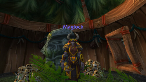 WoWScrnShot 111325 190753