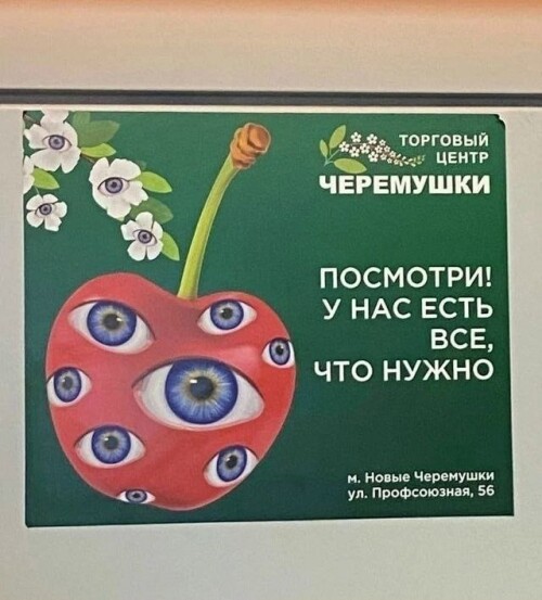 IMG 20251202 173856 251