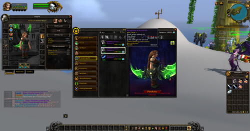 WoWScrnShot 010426 145536