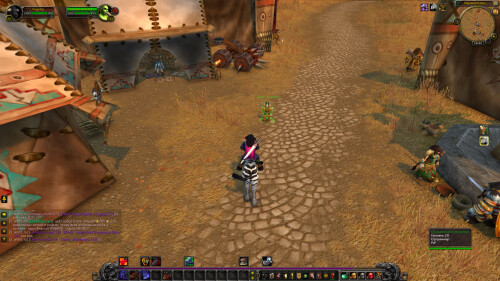 WoWScrnShot 012226 163250