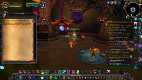 WoWScrnShot 050126 151255