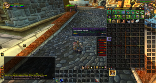 WoWScrnShot 070326 153307