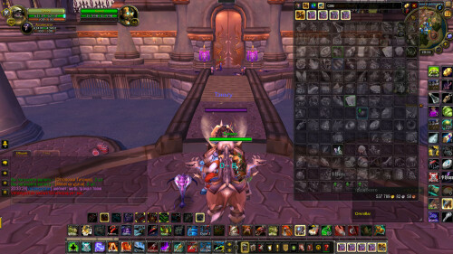 WoWScrnShot 081026 203402